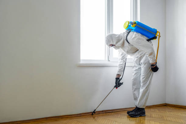 Best Real Estate Pest Inspections  in Gorman, TX